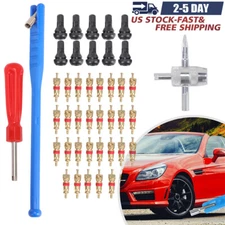 43pcs Kit Valve Stem Installation Remover Repair Tool Puller Car Tire Plug Core