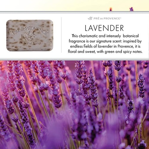Pre de Provence LAVENDER Case 18 x 150 Gram French Soap Bath Shower Bars Shea - Picture 1 of 2