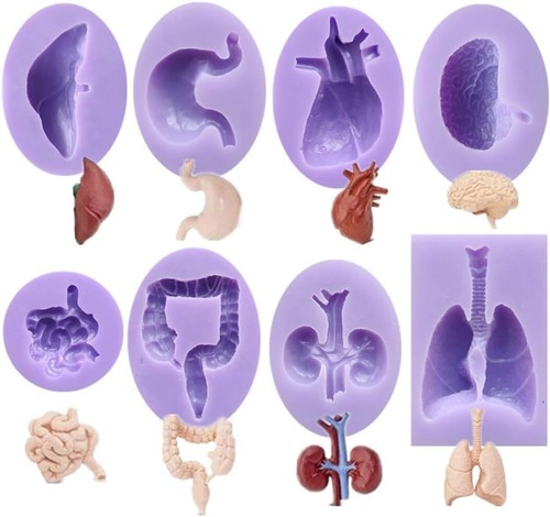 Human Organs Shape Silicone Molds,Heart Liver Christmas Fondant Cake Decorati... - Picture 2 of 10