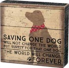 BRAND NEW Primitives By Kathy Box Saving One Dog 6.5" x 6" x 1.5"