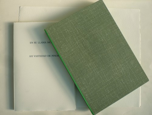 Orellana Gaston/Pablo Neruda: "En su llama mortal" 1987. Libro con 15 acqueforti - Picture 2 of 4