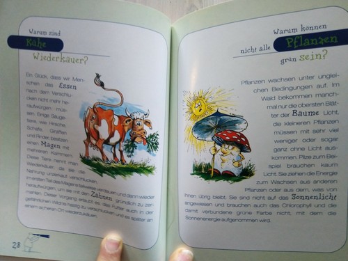 1000 mal WARUM 52 wissenswerte Antworten für clevere Frager KRONE sehr gut - Bild 6 von 12