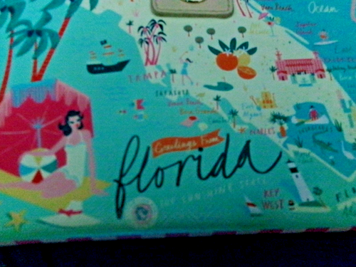 CARTERA SPARTINA 449 "SALUDOS DESDE FLORIDA" A PRESIÓN - Imagen 3 de 8