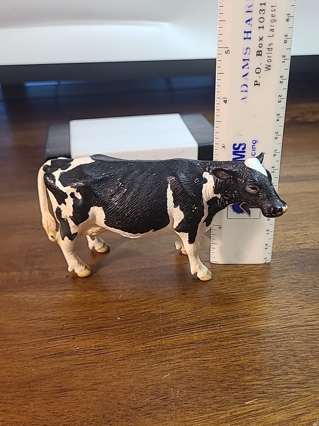 Picture 10 of 10