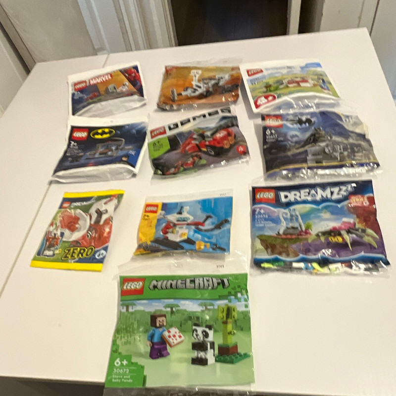 LEGO Minecraft 30672 Steve and Baby Panda Polybag Complete Set Age 6+
