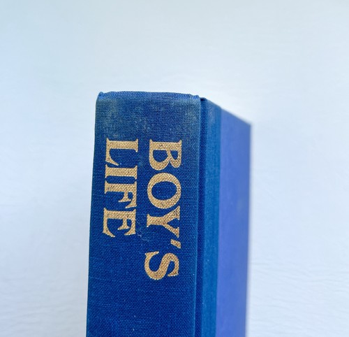 Boy's Life Robert R. McCammon 1991 1st Edition Print Horror Hardcover Good - Imagen 14 de 15