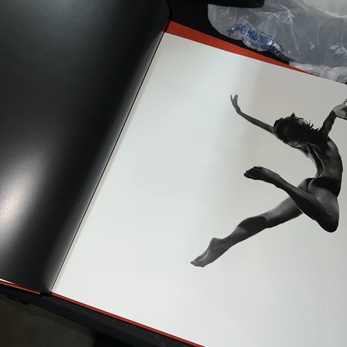 Sandro Verona Figure E Ritratti Hardcover Signed! See Photos - Bild 2 von 12