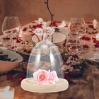  Klare Glaskuppel, transparente Präsentationsabdeckung mit Holzsockel für