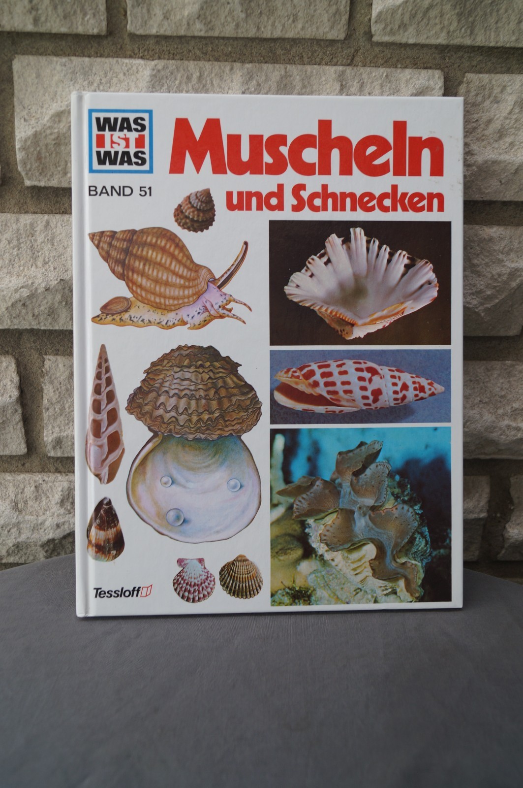 Bild 201 von 502