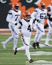 RANDY BULLOCK 8x10 PHOTO #13 Cincinnati Bengals Kicker WM