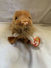 Ty Beanie Baby Paul the Walrus DOB February 23, 1999 MWMT
