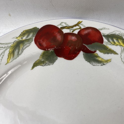 Totally Today Lot Of 4 Dinner Plates 10” Across Fruit Design Pre-Owned - Picture 4 of 8