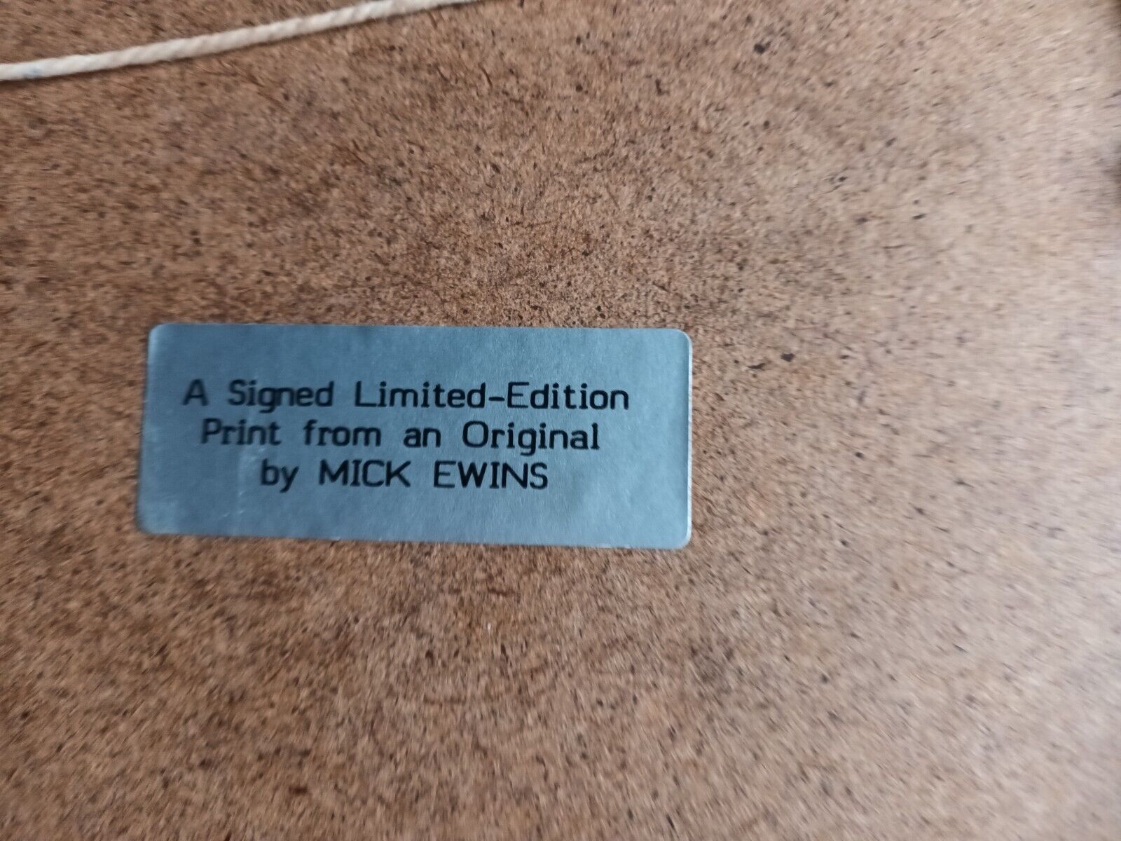 Picture 6 of 6