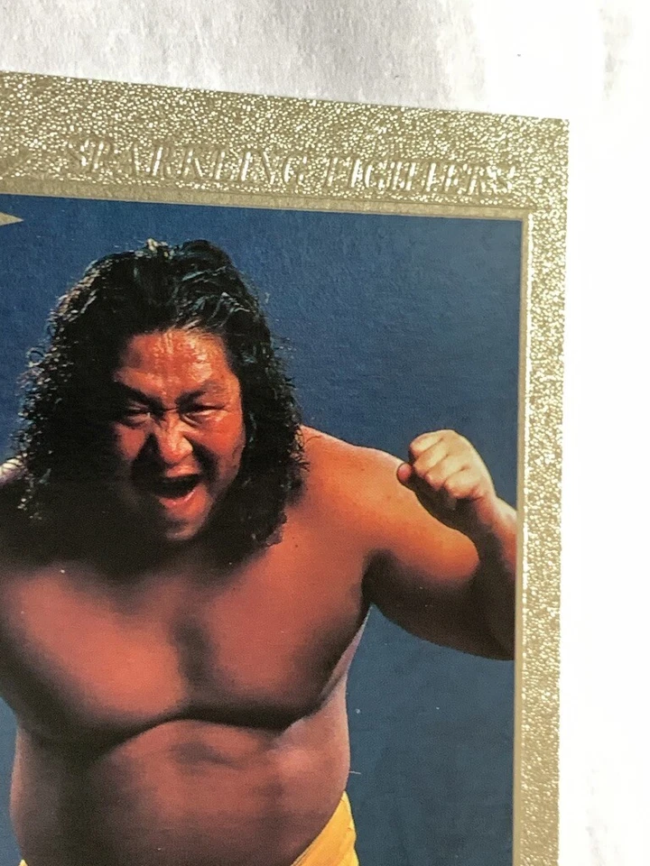 Kodo Fuyuki SF 109 Pro-Wrestling BBM 1997 Fight magazine rare card Japan F/S - Image 3 of 4