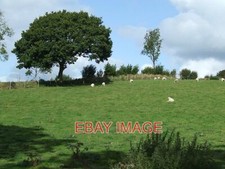 PHOTO  GRAZING LAND CEREDIGION  2007