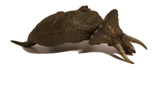 55002 Papo Dinosaurs : Triceratops ref : 1PA691 - Picture 6 of 7