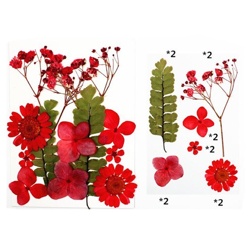 Real Dried Flower Natural Dry Plants Candle Epoxy Necklace Making Craft DIY - Picture 19 of 29
