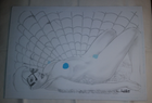 Bild 3 von 17