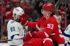 mozonehockeycollectibles