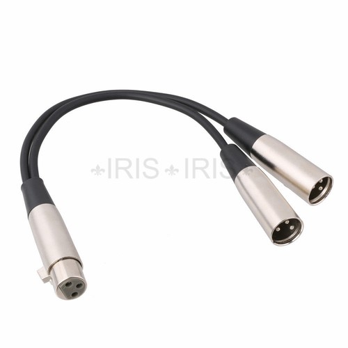 Cannon XLR Y-Cable Splitter 1 Female to Dual Male 12 inch - Picture 3 of 4