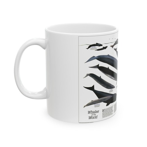 Great Whales of the World (1976) (Map) White Coffee Mug - Picture 8 of 9