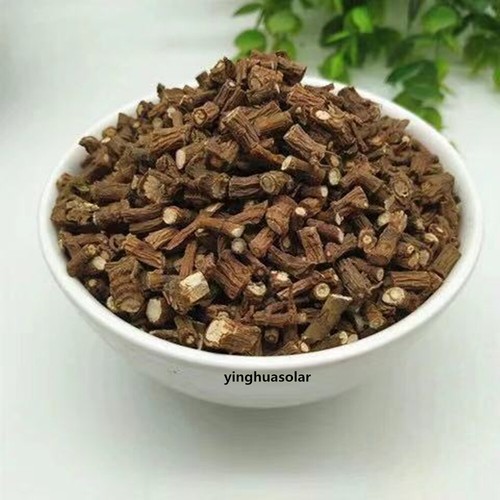 Chai Hu / Bupleurum / Radix Bupleuri di qualità - Foto 1 di 6