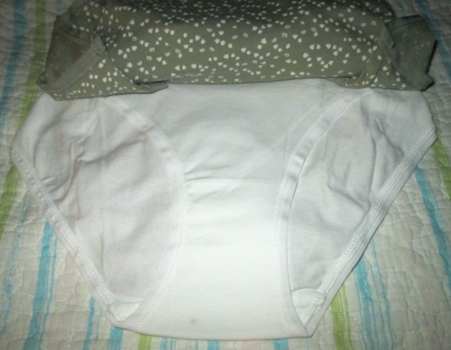 COLUMBIA Ladies 5 Pk Brief Panties-Sz L Underwear-NWT-COTTON/SPANDEX-Multicolor - Picture 6 of 11