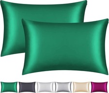 100 Mulberry Silk Pillowcase 2 Pack Queen for Hair and Skin,with Hidden Zipper