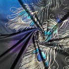 Bild 11 von 12