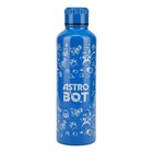 Astro Bot Metal Water Bottle, 500ml (16oz) Stainless Steel Bottle with Screw-Top