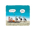 Bild 7 von 9