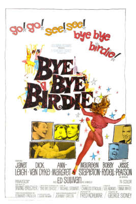 Bye Bye Birdie Movie Poster 11x17