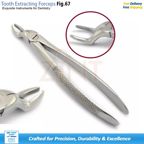 Dental Upper Third Molar Fig 67A Wisdom Tooth Extraction Forceps Loosening Steel - Picture 1 of 8