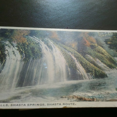 SHASTA SPRINGS, CA * Near SHASTA ROUTE MOSSBRAE FALLS * POSTED 1920 FOREST GROVE - Picture 4 of 9
