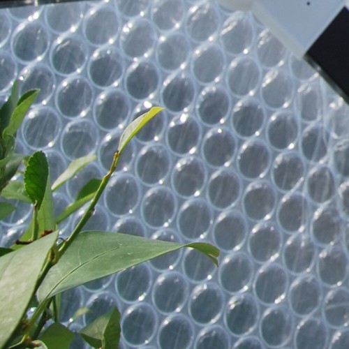 UV-Luftpolsterfolie 4m Gewächshaus Folie Isolierfolie Frühbeet Noppenfolie - Bild 2 von 6