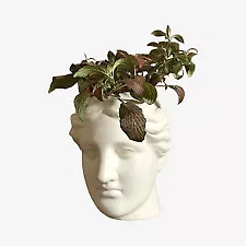 Decorative Sculptures & Figurines