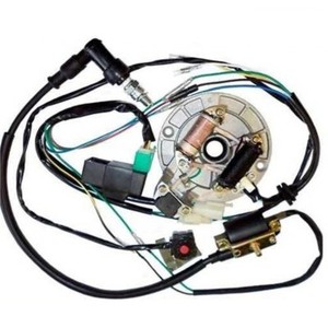 Details about / 50cc 110cc 125cc Wiring HARNESS CDI COIL Flyweel DIRT BIKE STATOR MAGNETO Lifan