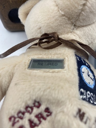 1999 Treasure Champs Bear Plush Timmy Time Capsule Countdown Critters Ltd Ed NEW - Picture 4 of 7