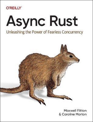 Maxwell Flitton Caroline Morton Async Rust (Taschenbuch)