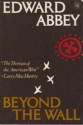 Beyond the Wall: Essays from the Outside Buch -