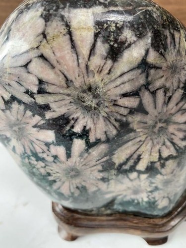 Chrysanthemum stone Suiseki Bonseki Bonsai Special Natural Monument Pink - Picture 3 of 10