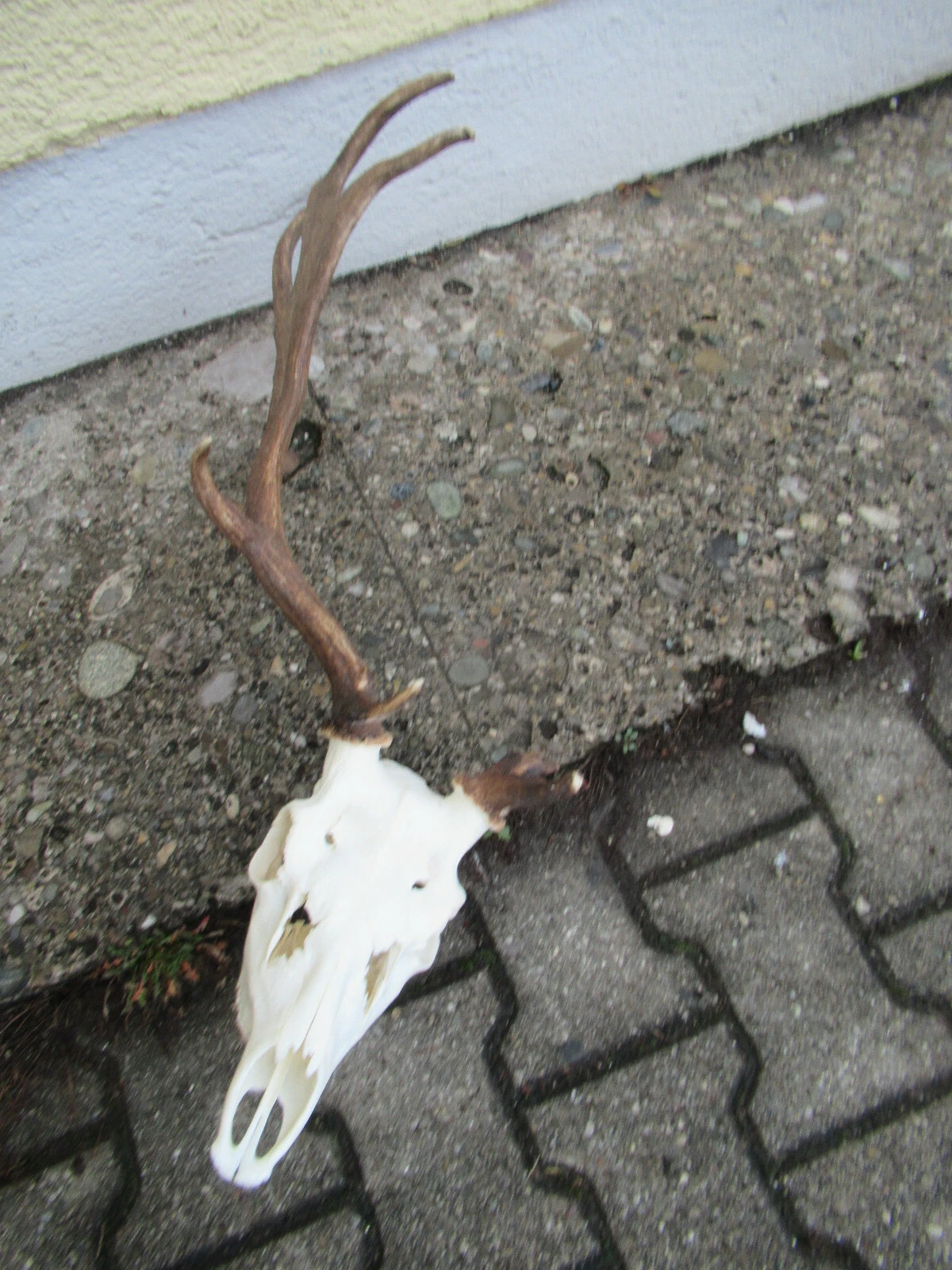 Bild 4 von 4