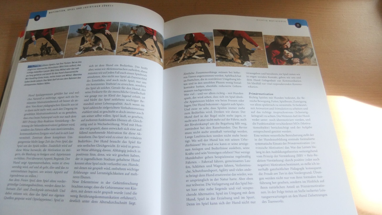 Bild 7