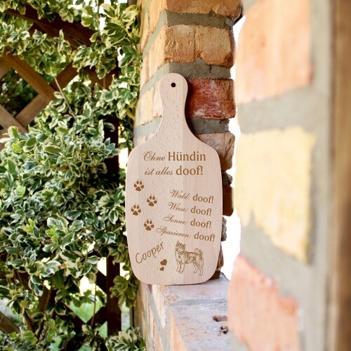 Deko Hundeschild Geschenk Hund Shiba Inu -...alles Doof- - Bild 6 von 6