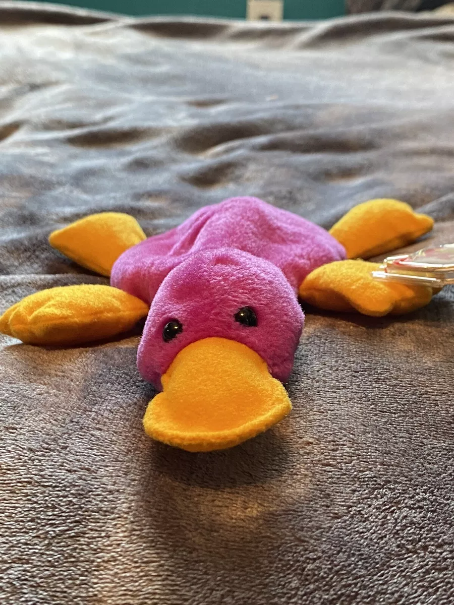 Patti platypus hot sale value