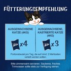 Bild 5 von 5