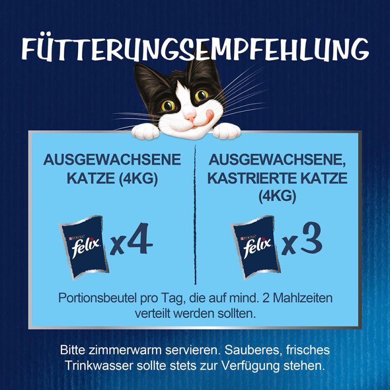 Bild 5 von 5