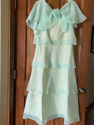 Vintage Bridesmaid Dresses from the 60’s Lot Of 5 - Picture 10 of 11