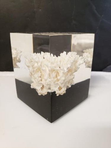 Chic Modern Vintage MCM Lucite Acrylic Cube Block Coral Sculpture Décor 2937 - Picture 5 of 12