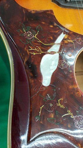 GIBSON Chitarra acustica DOVE - Foto 3 di 19